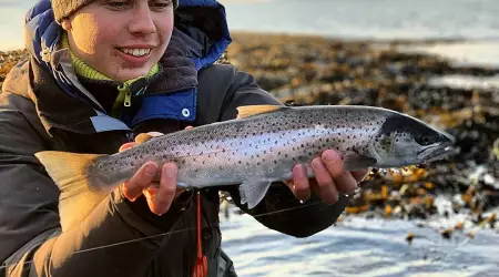 Torfinn Lie