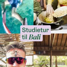 På tur med @balilinja 🏝️🐒🧘‍♂️ #folkehøgskole #fhsliv #folkehøyskole #morefhs